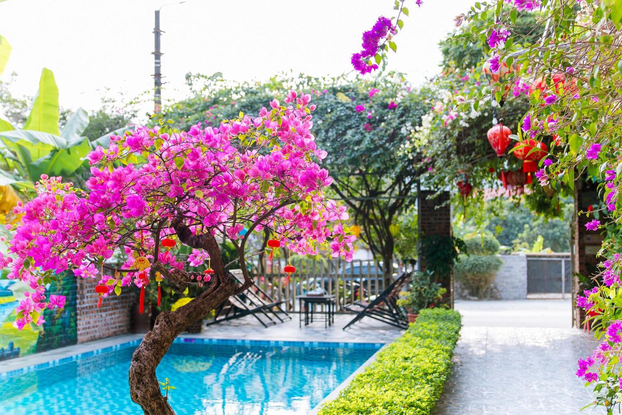 Tam Coc Viet Ha Homestay Ниньбинь Экстерьер фото